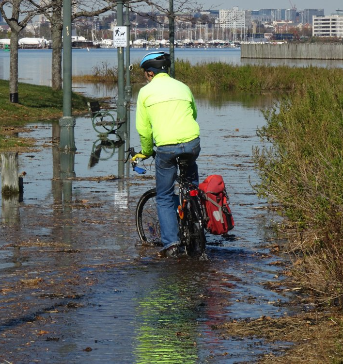 Alan Wright on Neponset Trail at Tenean Beach at high tide November 6, 2021